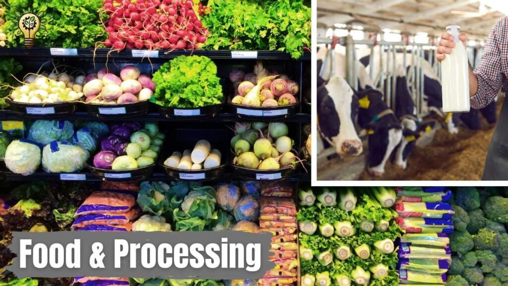100+ Best Rural Business Ideas In 2025