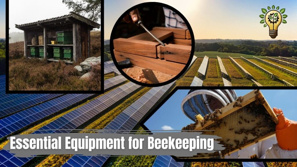 Low investment beekeeping Business For Rural Area