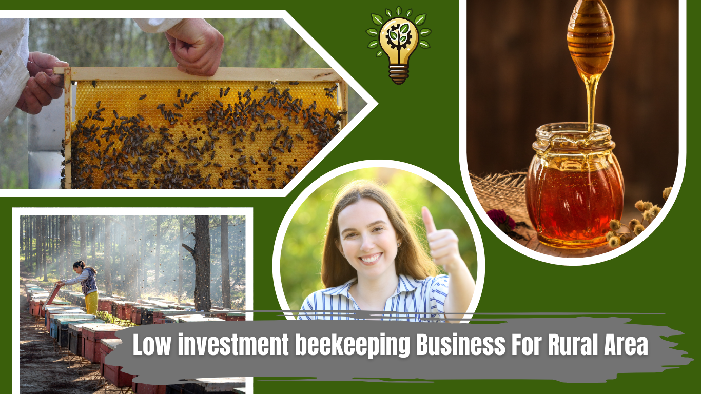 Low investment beekeeping Business For Rural Area